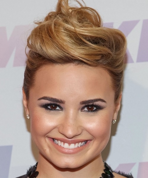 Demi Lovato French Twist Hairstyles