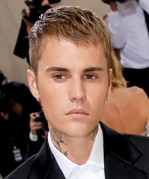 Justin Bieber Short Brunette Hairstyles