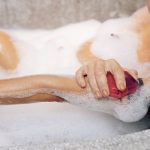 Can I Use Scented Soap On My Tattoo