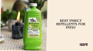best insect repellents for patio