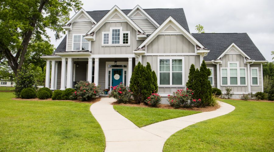 Alexandria Pest and Termite Prevention Guide