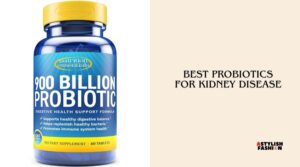 best probiotics for kidney disease